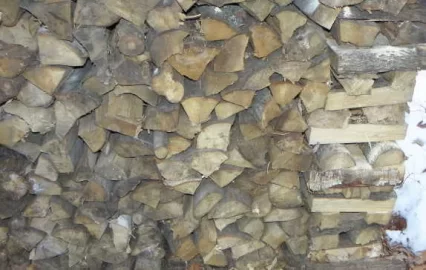 [Hearth.com] Noisy wood pile