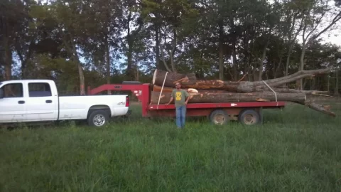 [Hearth.com] Hauling Some Wood Today