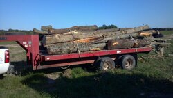 Hauling Some Wood Today