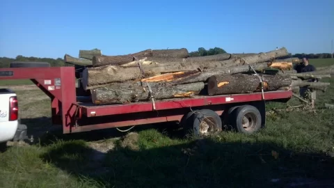 [Hearth.com] Hauling Some Wood Today