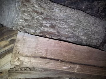 [Hearth.com] wood id