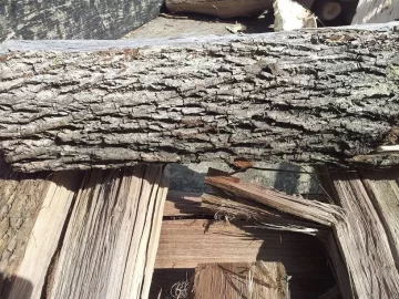 [Hearth.com] wood id