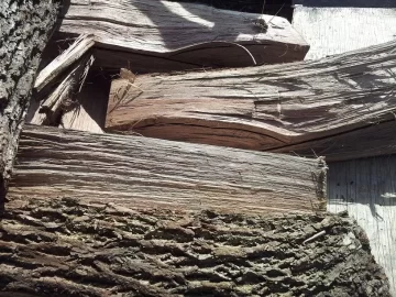[Hearth.com] wood id