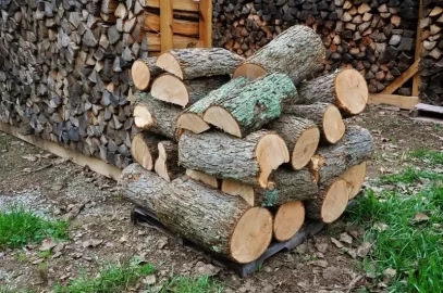 [Hearth.com] Big Ash Is Down