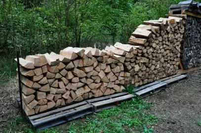[Hearth.com] Big Ash Is Down