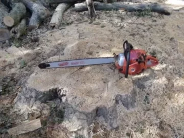 [Hearth.com] ...am I nuts? Chainsaw selection time.