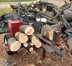 [Hearth.com] Timber Wolf Demo in Durand Mi