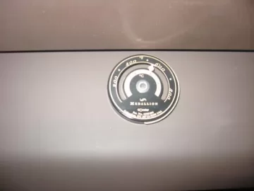 [Hearth.com] Magnet vs Laser thermometer