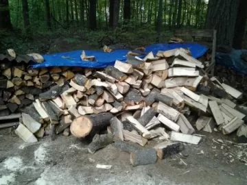 [Hearth.com] More storm damage wood *PICS*