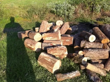 [Hearth.com] Morning Haul plus homemade rack