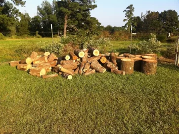 [Hearth.com] Morning Haul plus homemade rack