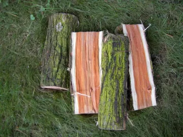 [Hearth.com] Thought this was elm, now not so sure