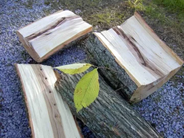 [Hearth.com] Thought this was elm, now not so sure