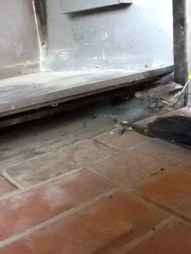 [Hearth.com] Replacing old wood insert with quadrafire Pellet insert?