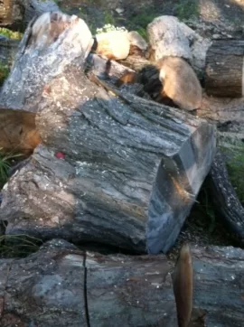 [Hearth.com] New Saw.....New Wood