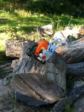 [Hearth.com] New Saw.....New Wood