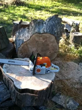 [Hearth.com] New Saw.....New Wood