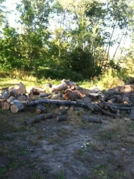 [Hearth.com] New Saw.....New Wood