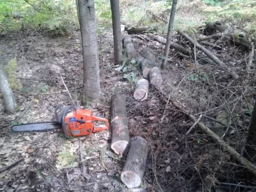 [Hearth.com] Got a small oak