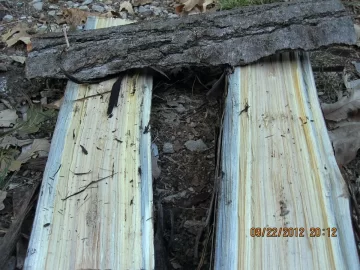 [Hearth.com] Help with Wood ID