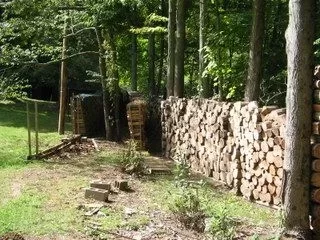 [Hearth.com] Guess I gotta show you my locust or it didn't happen.