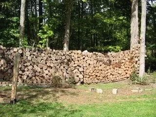 [Hearth.com] Guess I gotta show you my locust or it didn't happen.