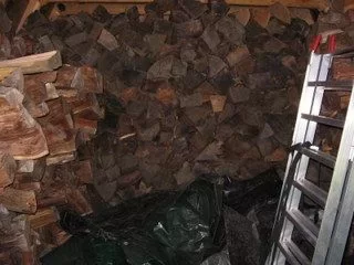 [Hearth.com] Guess I gotta show you my locust or it didn't happen.