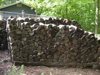 [Hearth.com] Guess I gotta show you my locust or it didn't happen.