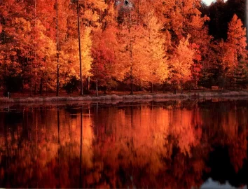 [Hearth.com] Some favorite fall pictures