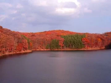 [Hearth.com] Some favorite fall pictures