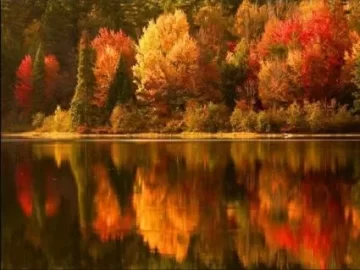 [Hearth.com] Some favorite fall pictures