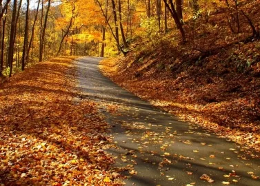 [Hearth.com] Some favorite fall pictures