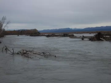 [Hearth.com] Retrieved flooded moose camp today (Pics)
