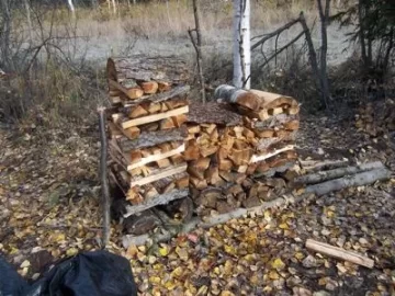 [Hearth.com] Retrieved flooded moose camp today (Pics)
