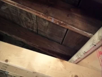 [Hearth.com] getting ready for round #2....knotty pine ceiling