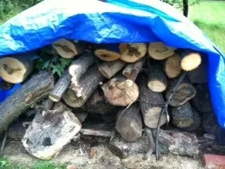 [Hearth.com] Free wood