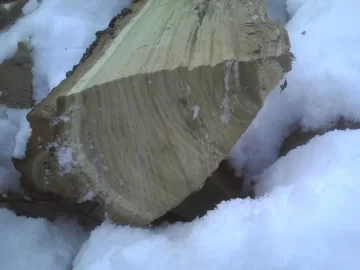 [Hearth.com] Help with Wood ID