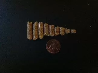 [Hearth.com] Premium wood pellets Made in Maine MWP Review