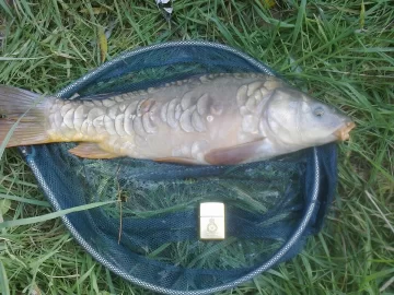 [Hearth.com] Struck gold......fish !
