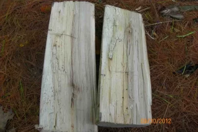 [Hearth.com] Ironwood with some dead standing.