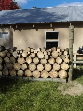[Hearth.com] Started on the Maple I cut down.