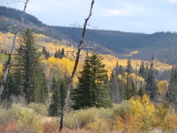 [Hearth.com] A day in the mountains