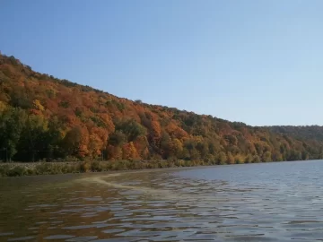 [Hearth.com] Some favorite fall pictures