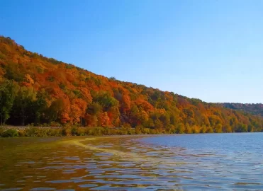 [Hearth.com] Some favorite fall pictures