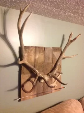 [Hearth.com] Elk hunting has arrived!
