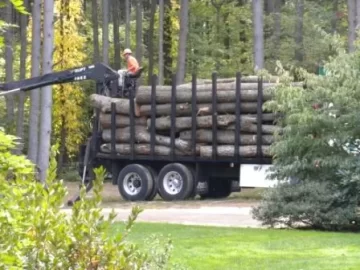 [Hearth.com] Future Tree Identification