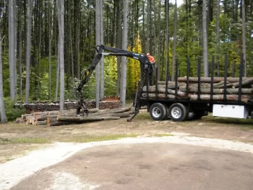 [Hearth.com] Future Tree Identification