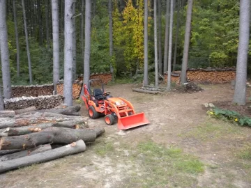 [Hearth.com] Future Tree Identification