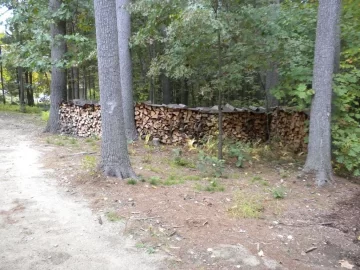 [Hearth.com] Future Tree Identification