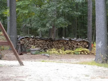[Hearth.com] Future Tree Identification